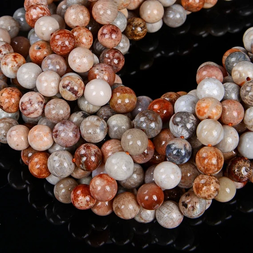 Natural Fossil Coral Gemstone Grade AAA Round 6MM 8MM Loose Beads (D13)