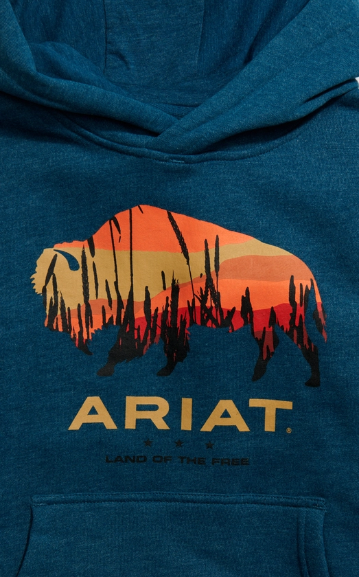 Ariat Boy's Aegean Blue & Sunset Buffalo Plains Graphic Hoodie