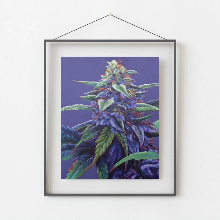 Purple Haze 8"x10" Cannabis Print