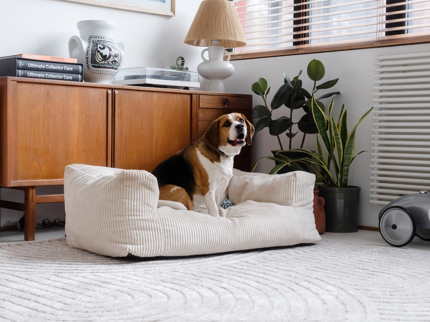 Panier pour chien SALTO velours côtelé | BOBOCHIC ®