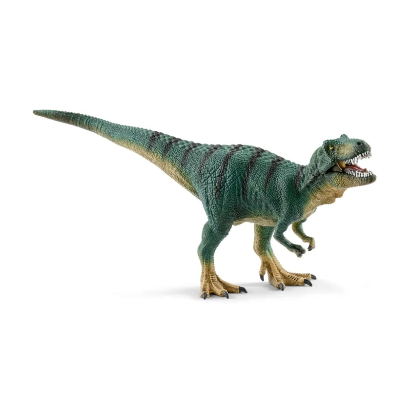 Jungtier Tyrannosaurus Rex