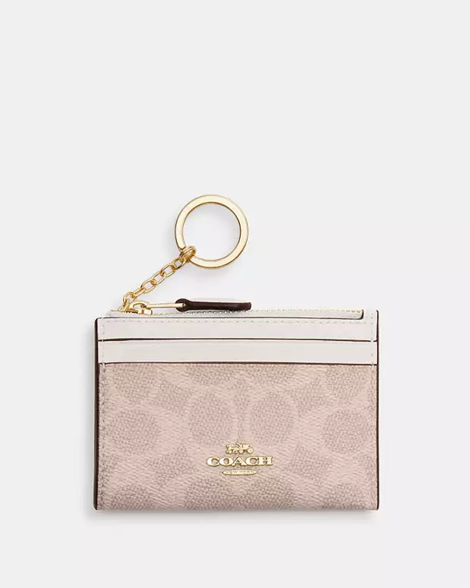 COACH® Outlet | Mini Skinny Id Case In Signature Canvas