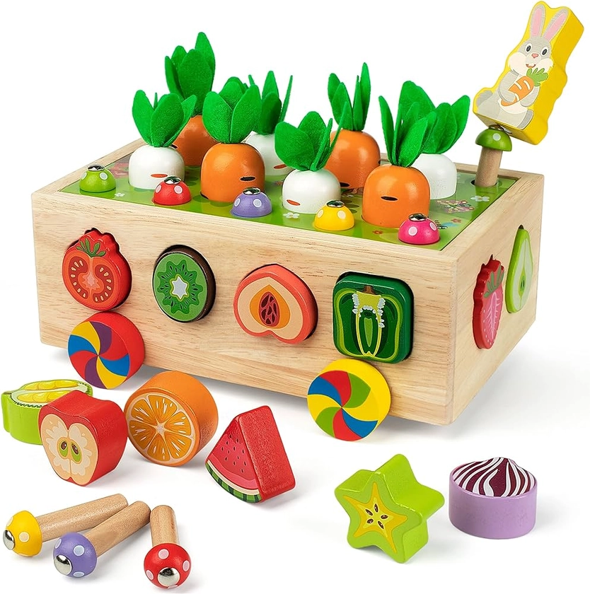 Coogam Montessori Fine Motor Toys for Baby Toddler, Wooden Shape Sorter Carrot Harvest Game, Preschool Learning Educational Gift Toy for 2 3 4 Year Old