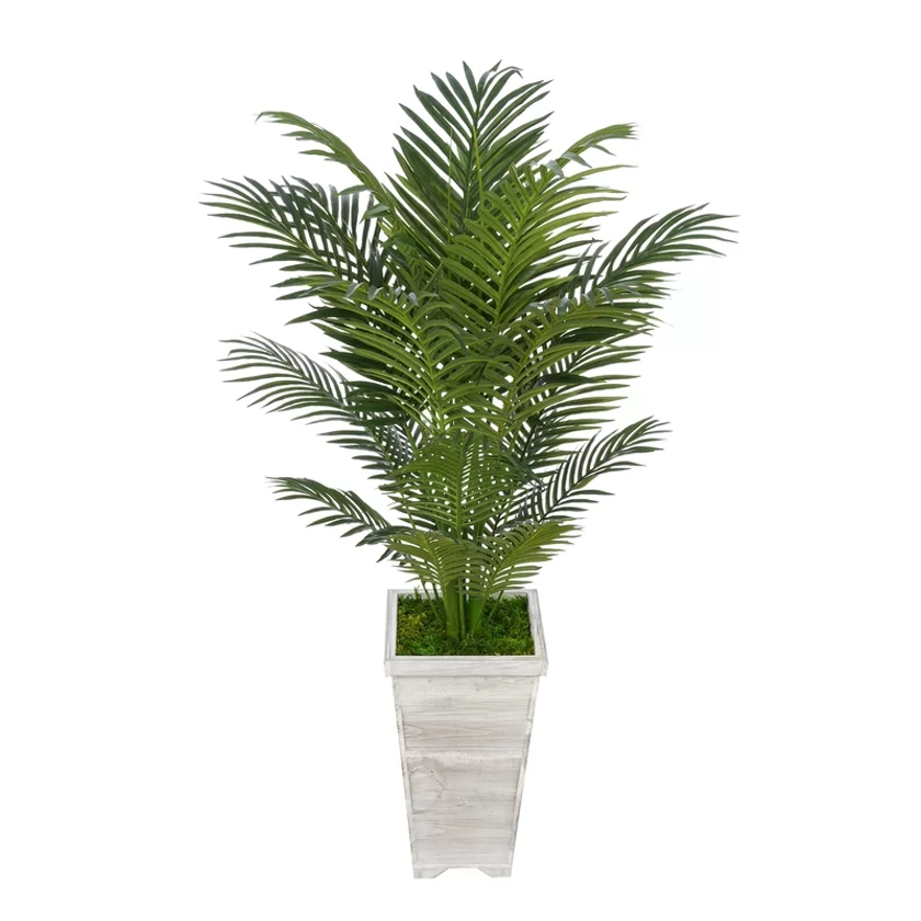 Wayfair Artificial Palm Tree in Decorative Vase