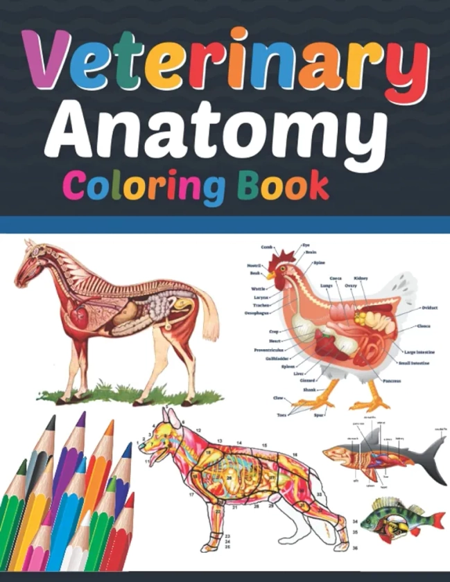 Veterinary Anatomy Coloring Book: Veterinary Anatomy Coloring Book For Medical, High School Students. Anatomy Coloring Book for kids. Veterinary ... Anatomy Student Self Test Coloring Workbook.