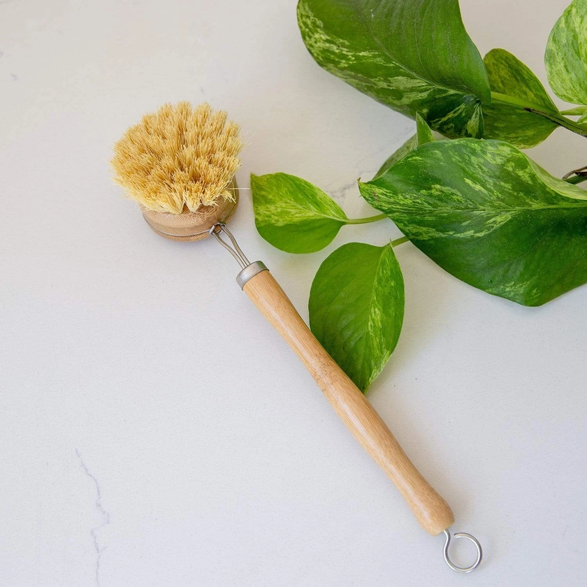 Long Handle Bamboo Dish Brush - Agave Dish Brush - ZWS Essentials