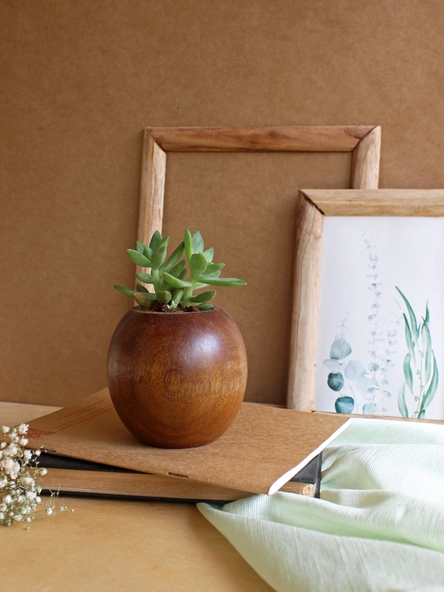 Buy Studio Indigene Brown Spherical Sustainable Wooden Planter -  - Home for Unisex