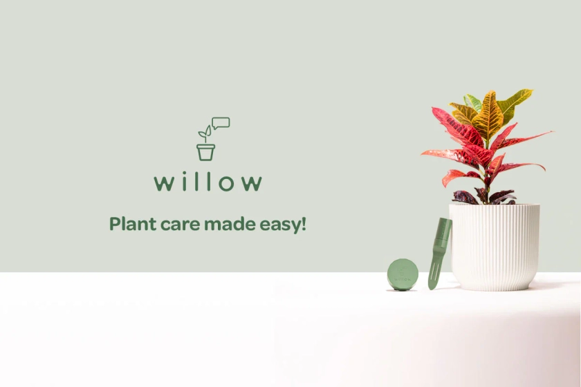 Smart Plant Sensor | Interactive Plant Monitor | Willow