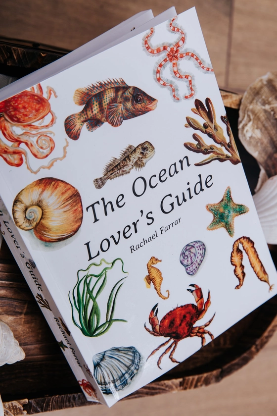 The Ocean Lover's Guide, the perfect Nature Guide for any ocean lover! — Rachael Farrar