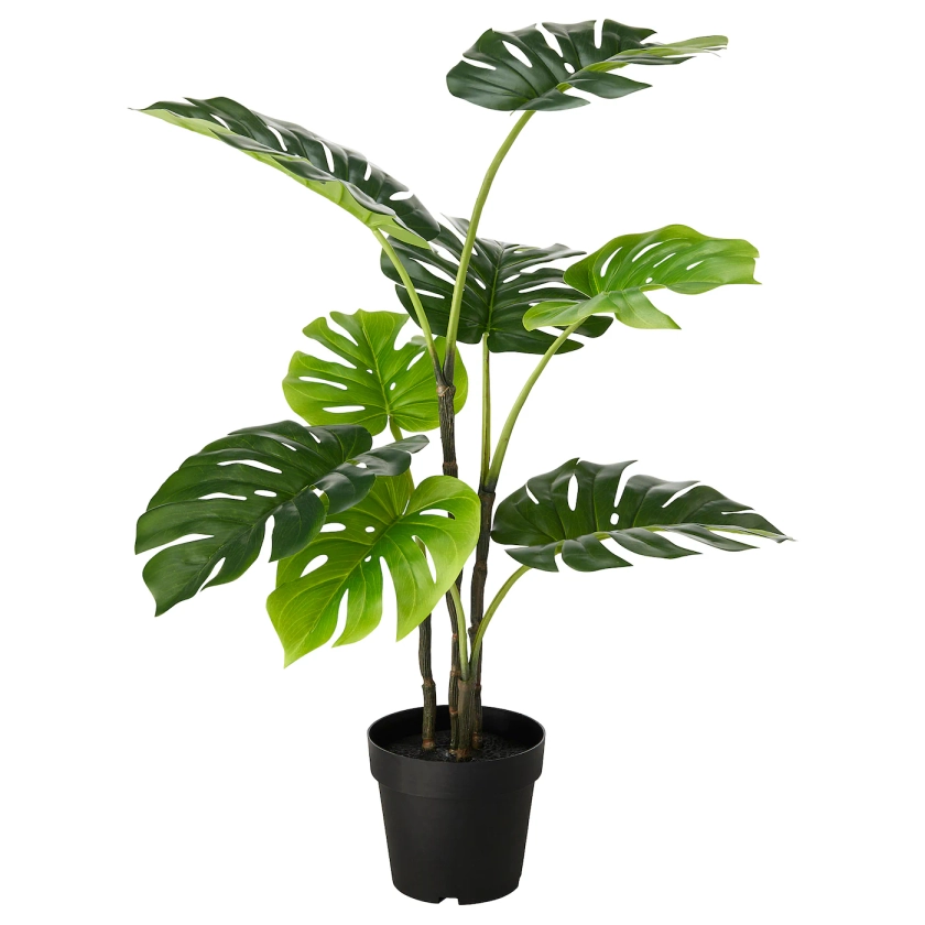 FEJKA artificial potted plant, indoor/outdoor monstera, 7 ½" - IKEA