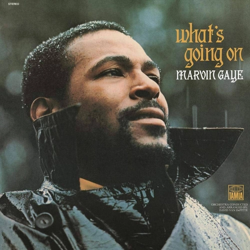 What's Going On [VINYL]