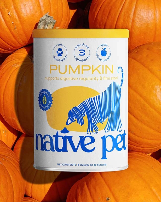 Pumpkin for Dogs - Powdered Dog Food Topper - Native Pet