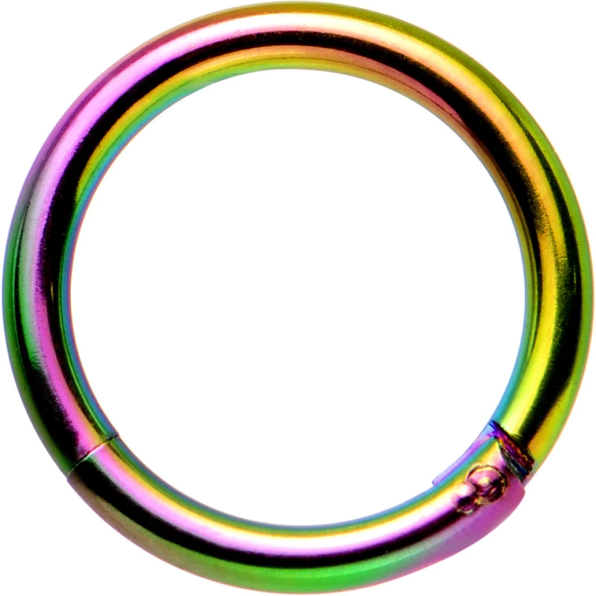 16 Gauge 5/16 Rainbow Anodized Hinged Segment Ring