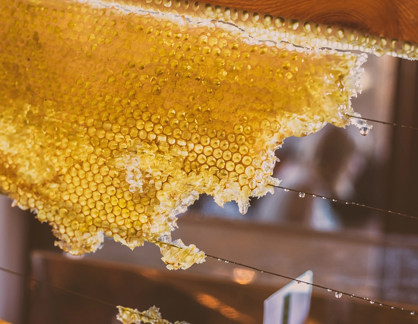 Honey Production Kit - Great Charity Gifts