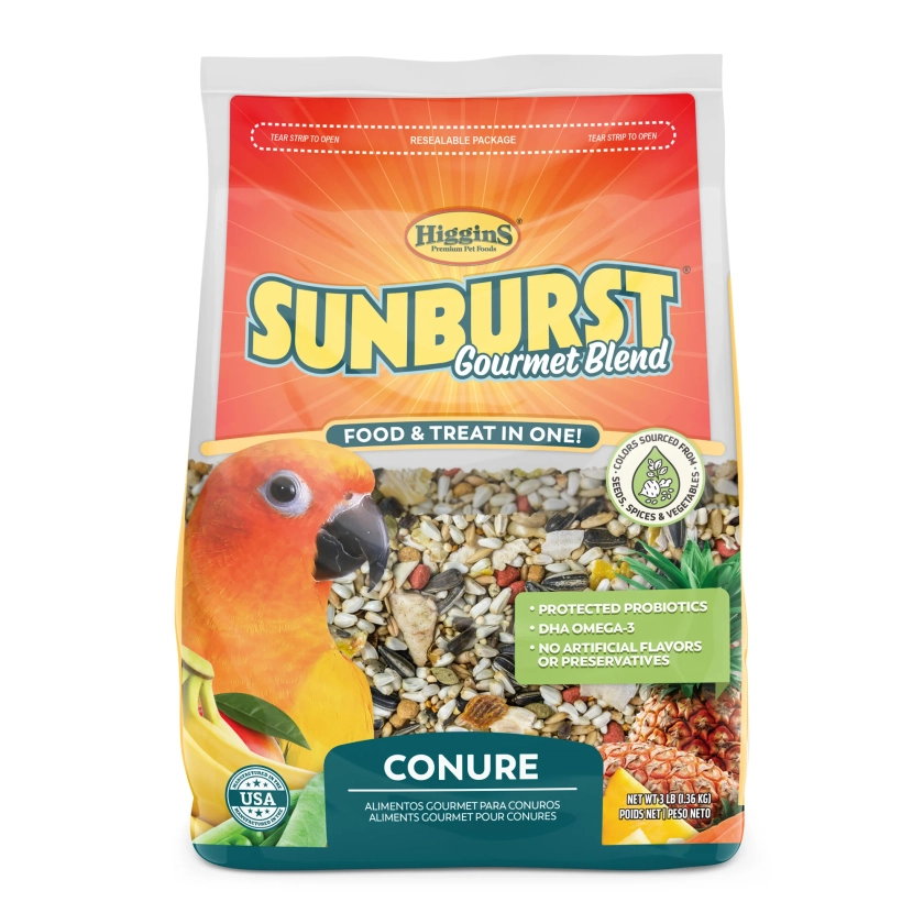 Higgins Sunburst - Conure, 3 lb | Petco