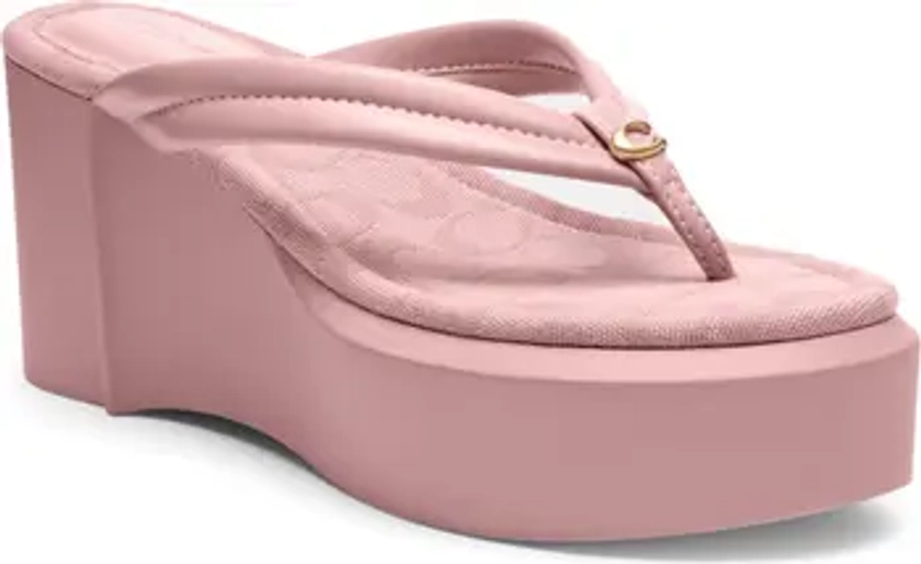 Franki Platform Wedge Flip Flop