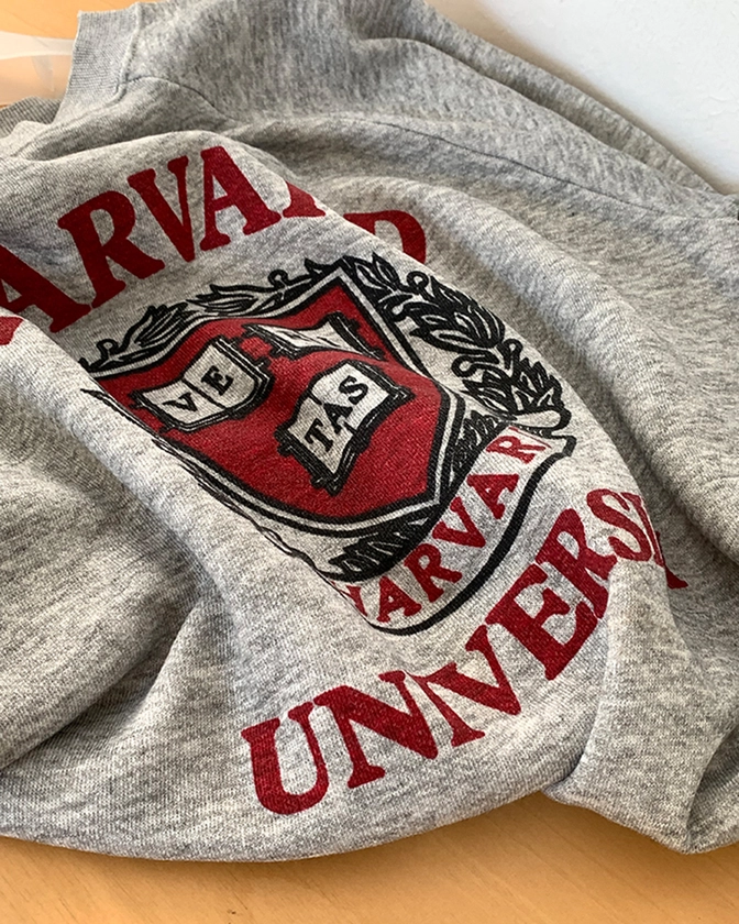 (Deadstock) 80's "Harvard" 50/50 USA Sweatshirt (rare piece) : lilisun