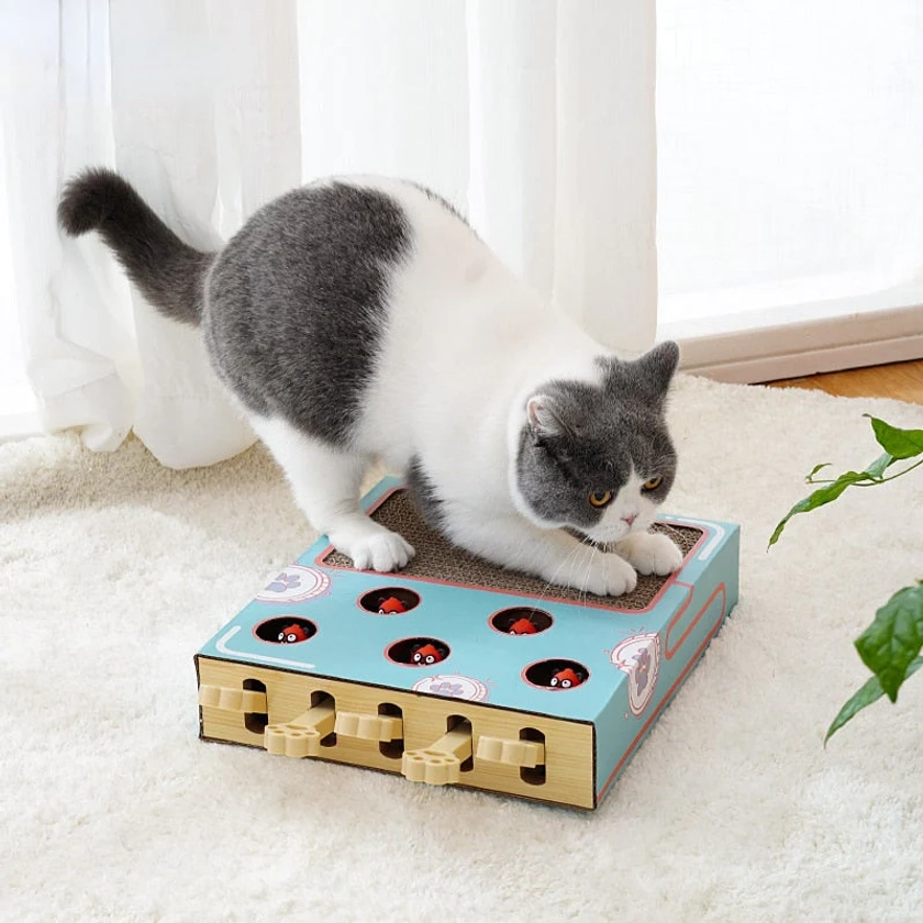 Whack-a-Mole Cat Scratching Board Toy