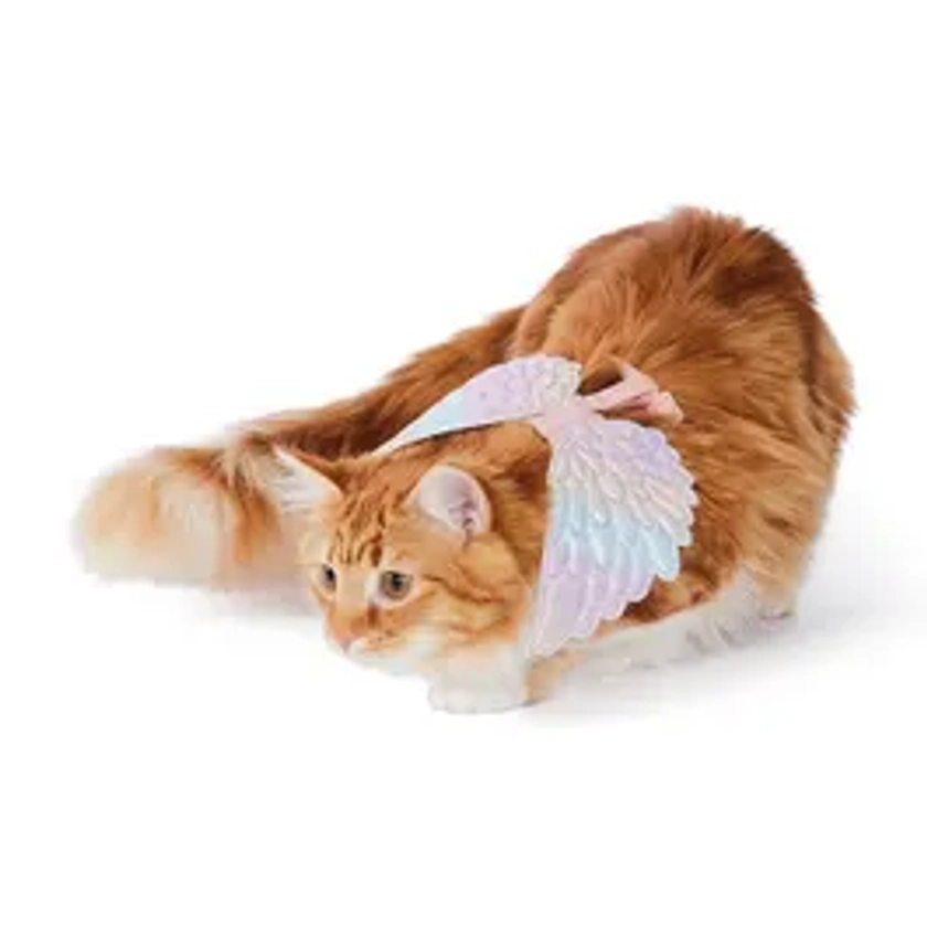 All Day Halloween Rainbow Angel Wings Cat Harness