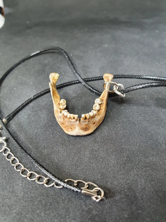 Human Jawbone Necklace Pendant Bone Jewelry Necklace Gothic Jewelry Gift, Bone Necklace Bone Jewelry Oddities Curiosities - Etsy UK