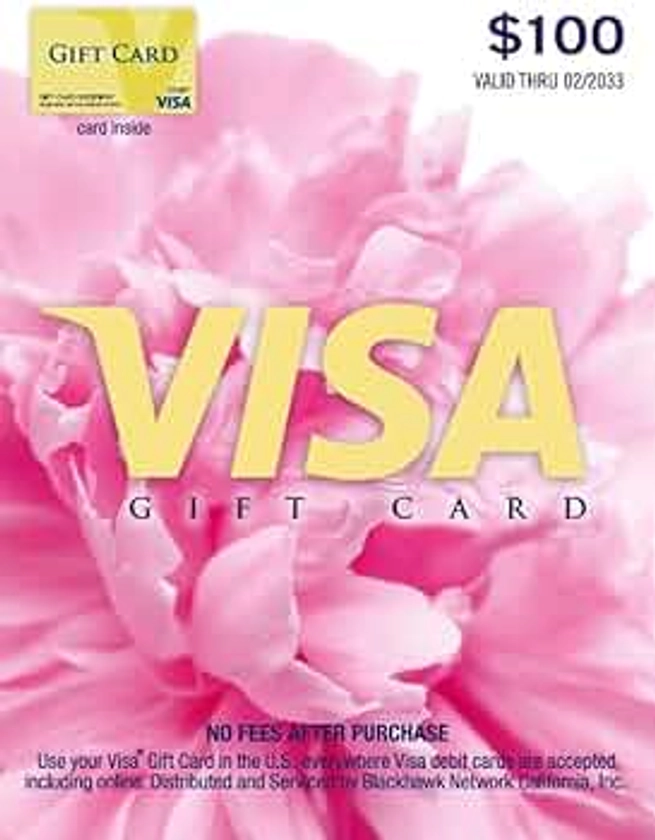 Visa $100 Gift Card (plus $5.95 Purchase Fee)