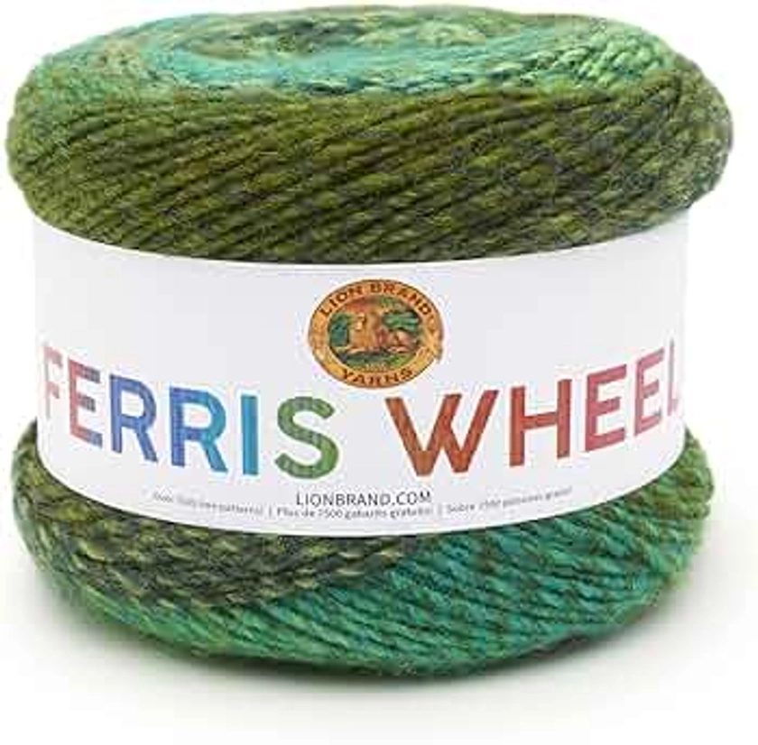 Lion Brand Yarn Ferris Wheel Yarn, Multicolor Yarn for Knitting, Crocheting, and Crafts, 1-Pack, Evergreen