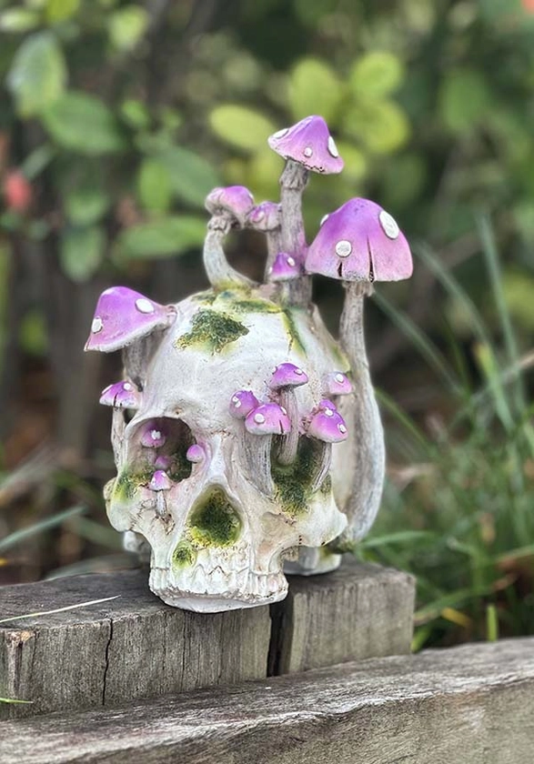 Magic Mushrooms [Purple] | SKULL