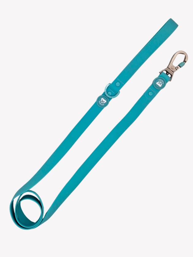 LAISSE WATERPROOF MINT POUR CHIEN