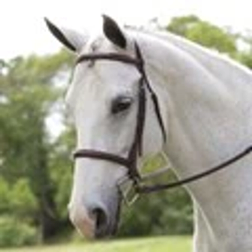 Plymouth® Hunter Bridle by SmartPak