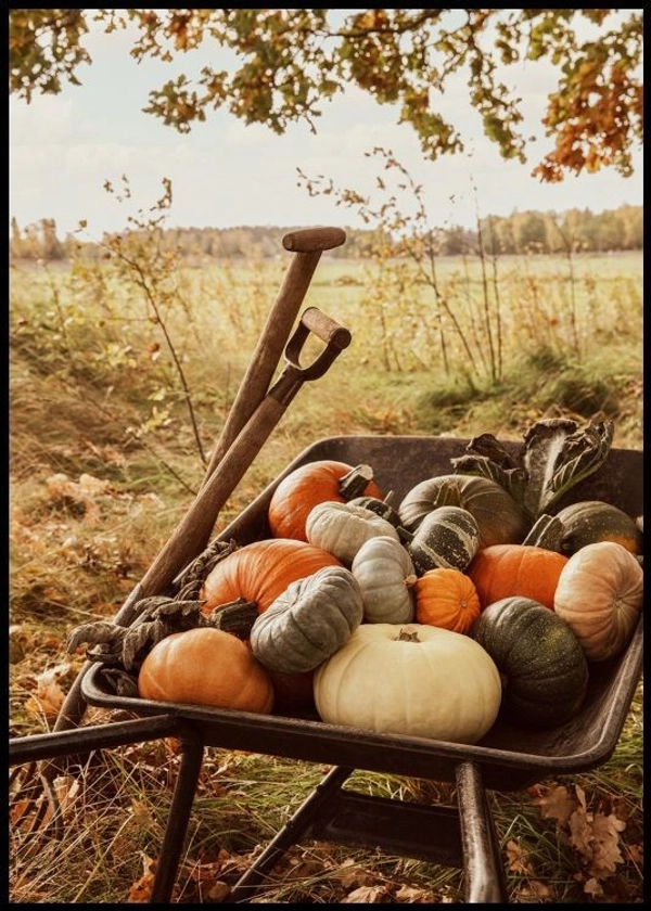 Chariot de Citrouilles Poster