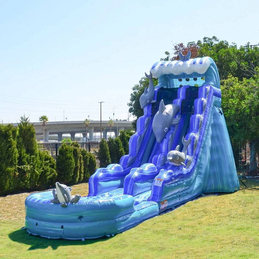 JumpOrange Commercial Grade Water Slide Inflatable with Detachable Pool for Kids and Adults (Includes Blower), Dolphins Theme