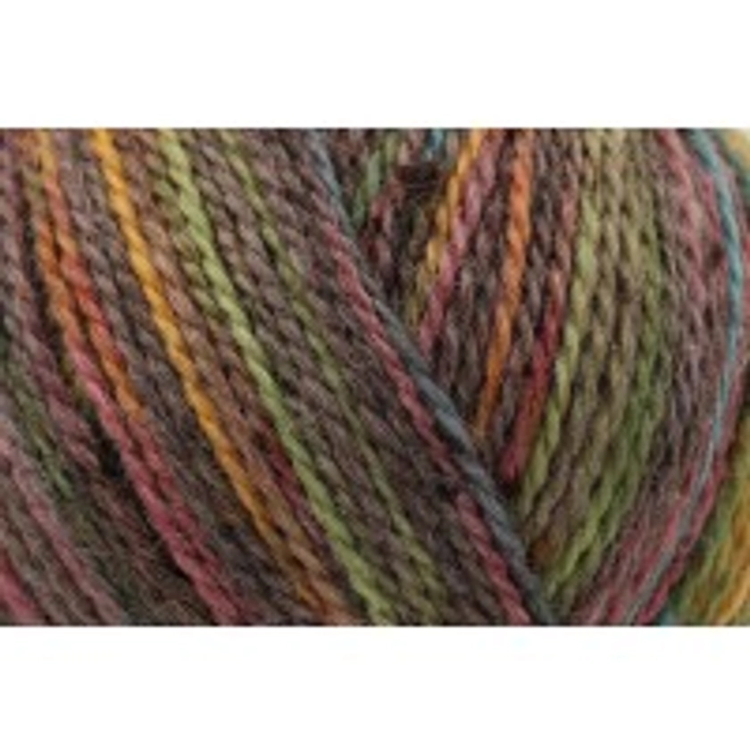 King Cole Homespun Prism DK - Summer Meadow (5181) - 50g