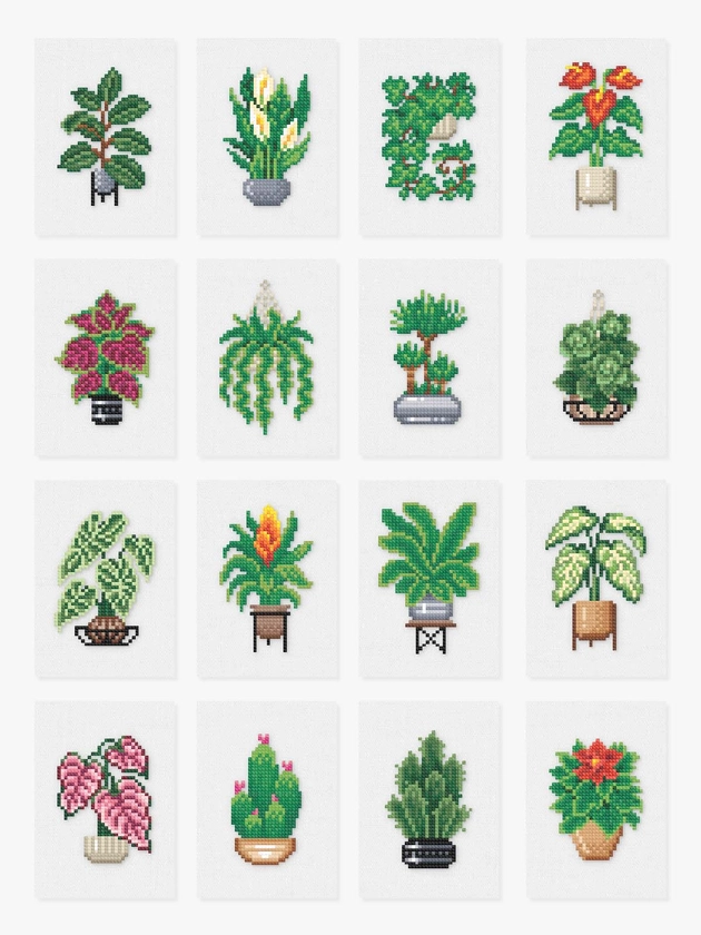 Houseplants Edition 2