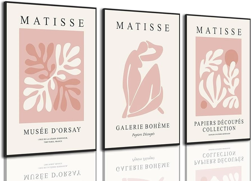 Djmwtb Matisse Abstract Canvas Wall Art Set of 3 Pink Flower Market Poster Prints Modern Aesthetic Pictures Minimalist Wall Decor Painting for Living Room Bedroom Bathroom 12"x16"x3 Unframed