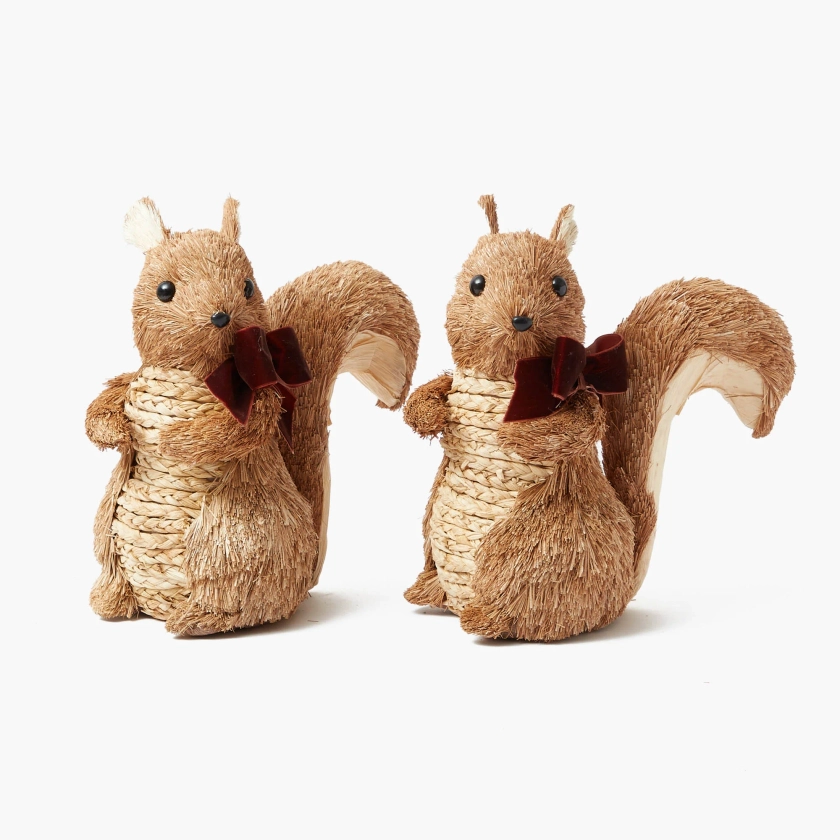 Natural Ribboned Squirrel (Pair)