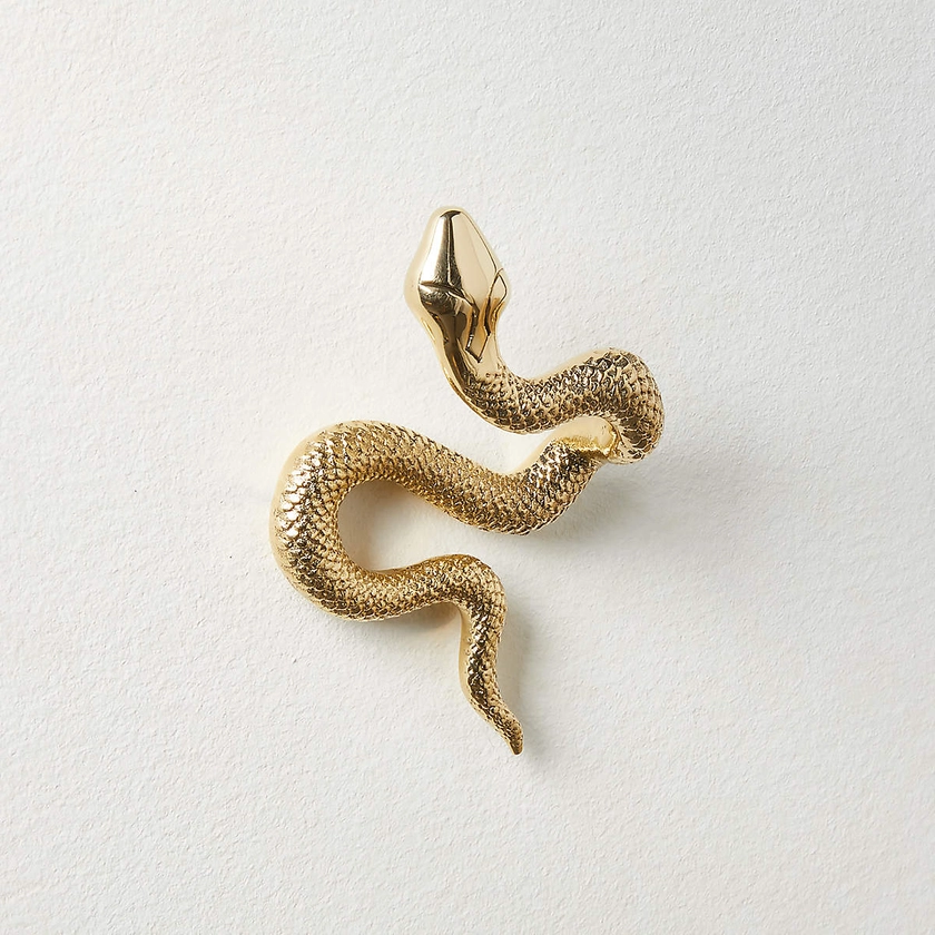 Modern Unlacquered Brass Snake Wall Hook + Reviews | CB2