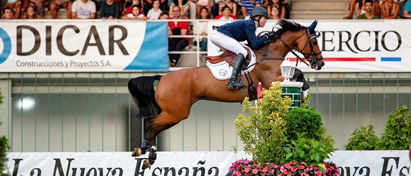 Show Jumping Products | LeMieux
