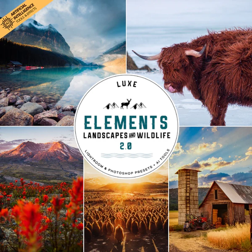 Elements - Landscapes & Wildlife 2.0 Lightroom Presets & AI Powered Tools – Desktop & Mobile