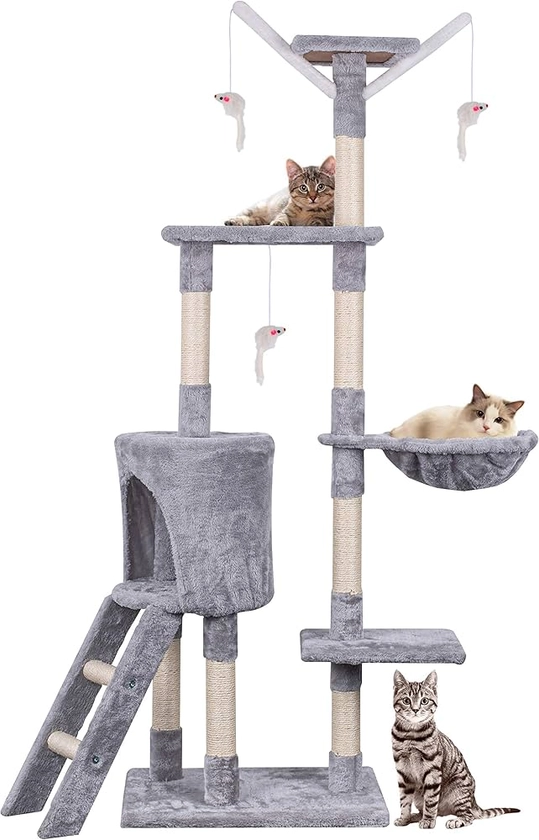 Cat Tree, 145cm Cat Scratch Posts Multi-Level Stable Cat Climbing Tower Cat Activity Trees with Ladder, Indoor Pet Activity Furniture Play House for Kitty Kitten : Amazon.co.uk: Pet Supplies