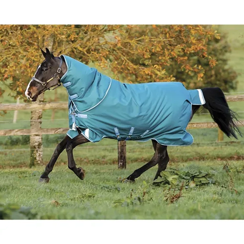 Horseware® Ireland Amigo® Bravo 12 Plus Heavyweight Turnout Blanket | Dover Saddlery