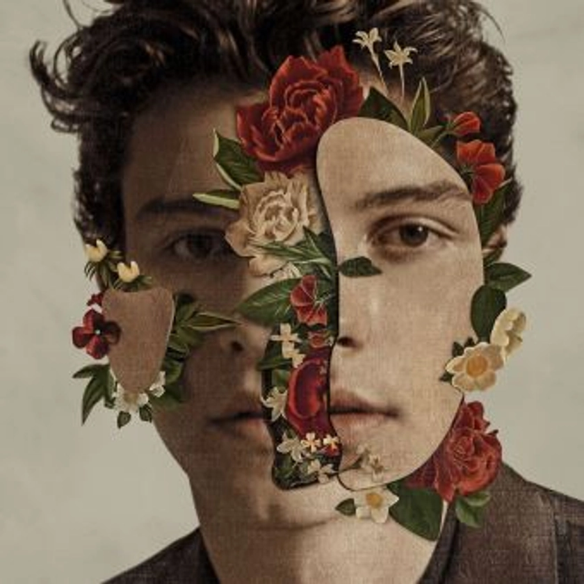 Shawn Mendes - Shawn Mendes - Vinyle album - Achat & prix | fnac