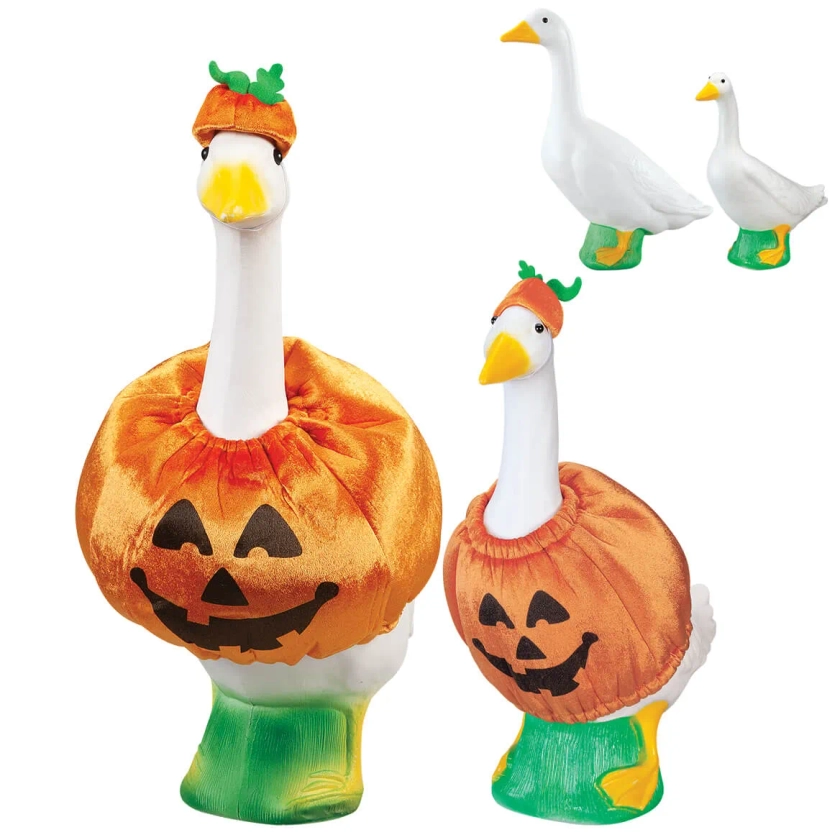 Pumpkin Duo Goose, Baby and Outfits Bundle by Gaggleville&#x2122;