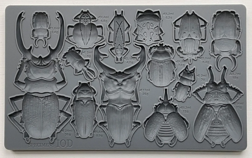 Iron Orchid Designs Specimens Decor Mould, Silicone Mould, Resin/clay Mould FREE DELIVERY - Etsy UK