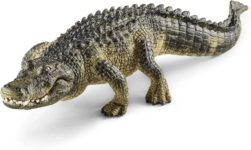 Schleich 14727 Alligator, dès 3 Ans, Wild Life - Figurine, 19 x 5,9 x 3,7 cm