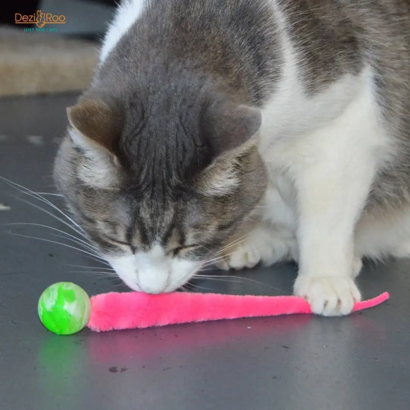 Dezi & Roo - Wiggly Ball - Solid Marbled Cat Toy - Katzenworld Shop