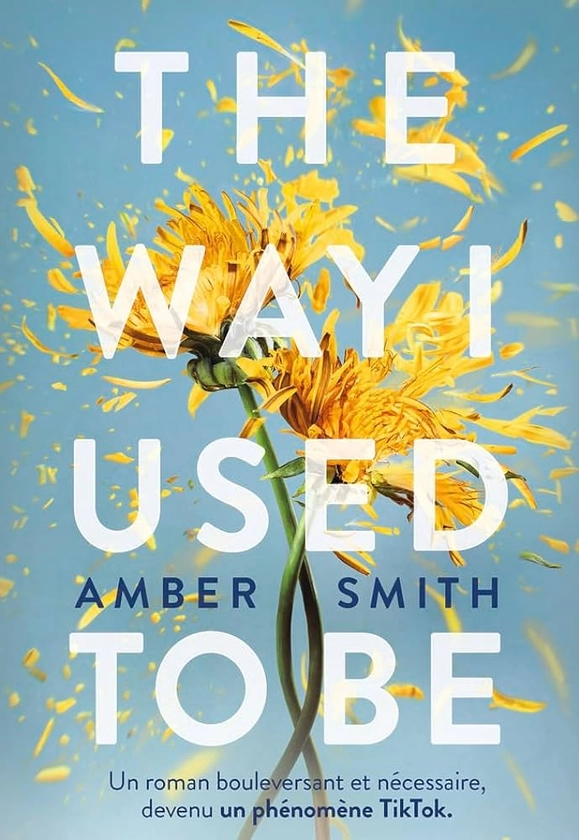THE WAY I USED TO BE – Edition française : Smith, Amber, Bouet, Caroline: Amazon.fr: Livres