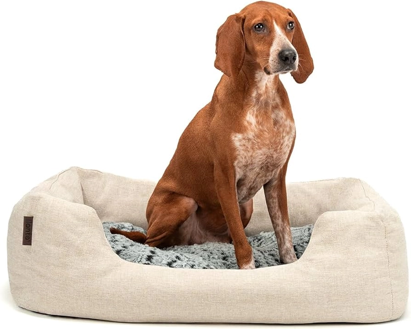 dibea DB00731, Dog Bed (melange fabric), Cozy dog sofa, anti-slip (80 x 60 cm external dimensions, beige) : Amazon.co.uk: Pet Supplies