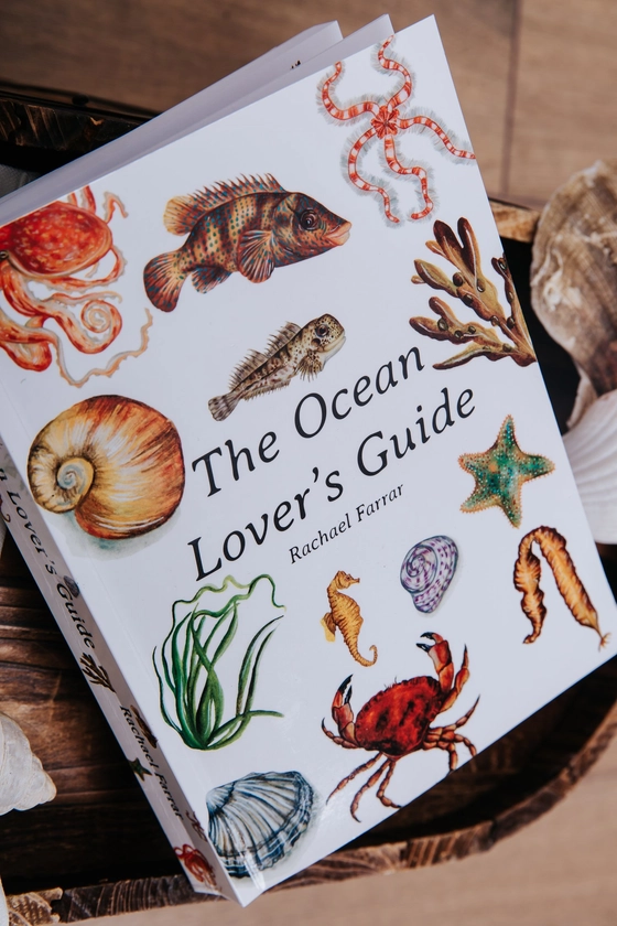 The Ocean Lover's Guide, the perfect Marine Life Guide for any nature lover — Rachael Farrar