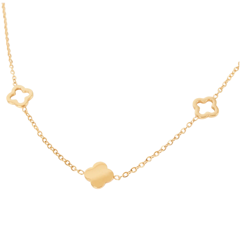 Collier en acier inoxydable Royal Divas