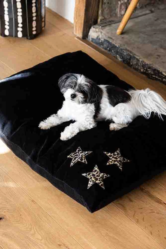 Leopard Stars Dog Bed - 3 Available Sizes